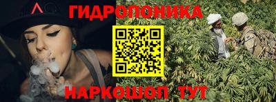 гашик Кимры