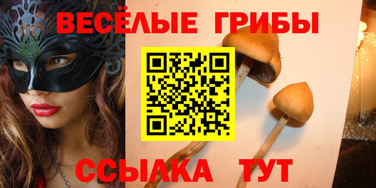 Галлюциногенные грибы мицелий Аксай