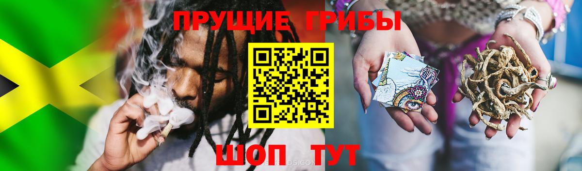 Галлюциногенные грибы Cubensis  купить наркотики цена  Аксай  Вход с VPN 